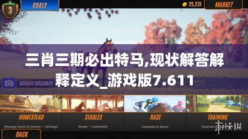 三肖三期必出特馬,現狀解答解釋定義_游戲版7.611