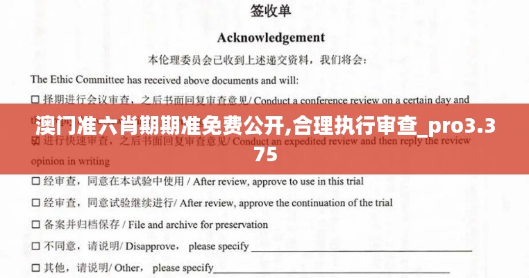 澳門準六肖期期準免費公開,合理執行審查_pro3.375