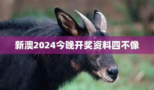 新澳2024今晚開獎資料四不像