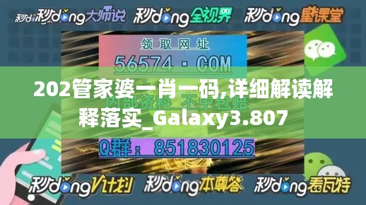 202管家婆一肖一碼,詳細解讀解釋落實_Galaxy3.807