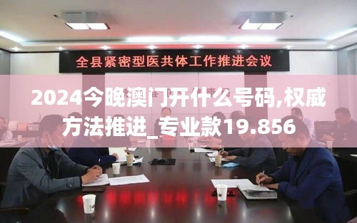 2024今晚澳門開什么號碼,權威方法推進_專業款19.856