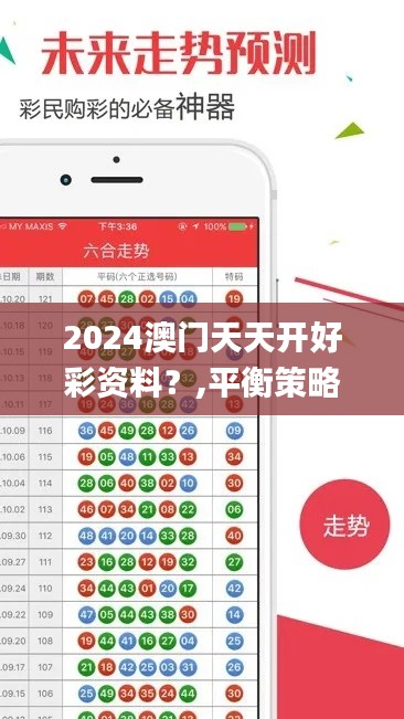 2024澳門天天開好彩資料？,平衡策略實施_手游版6.673