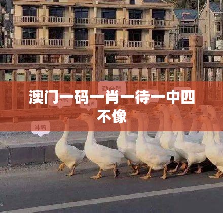 澳門一碼一肖一待一中四不像