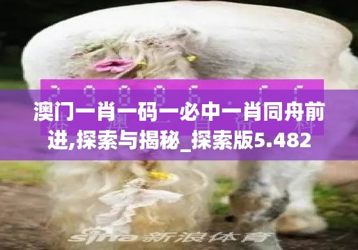 澳門一肖一碼一必中一肖同舟前進,探索與揭秘_探索版5.482