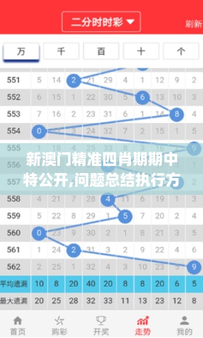新澳門精準四肖期期中特公開,問題總結執行方案_P版7.345