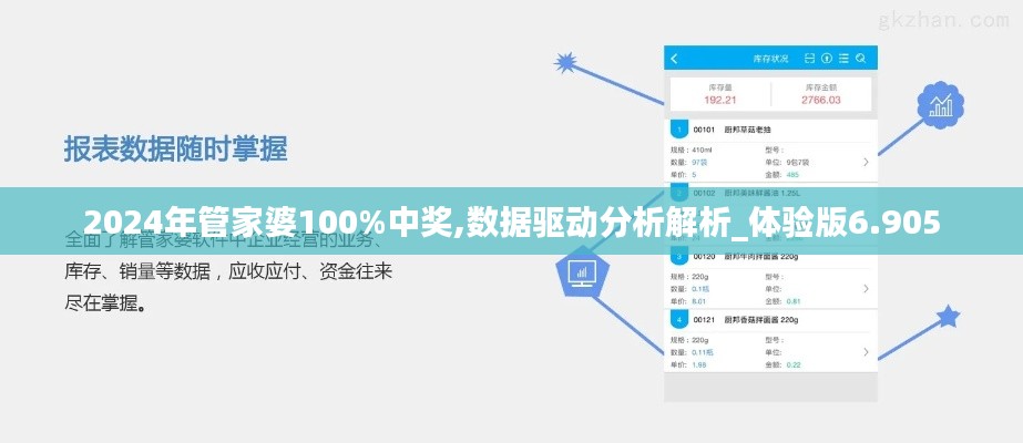 2024年管家婆100%中獎,數據驅動分析解析_體驗版6.905