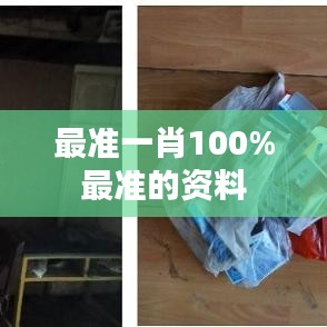 最準一肖100%最準的資料