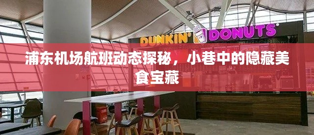 浦東機場航班動態探秘，小巷美食寶藏揭秘