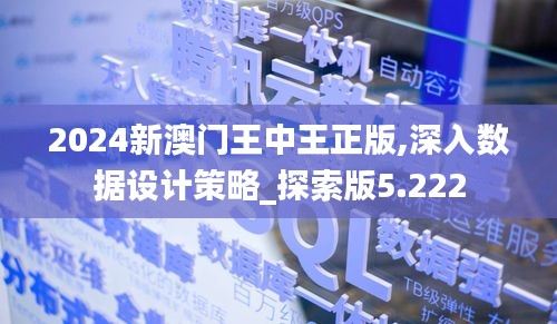 2024新澳門王中王正版,深入數(shù)據(jù)設(shè)計策略_探索版5.222