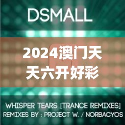 2024澳門天天六開好彩開獎,詮釋說明解析_RemixOS6.293