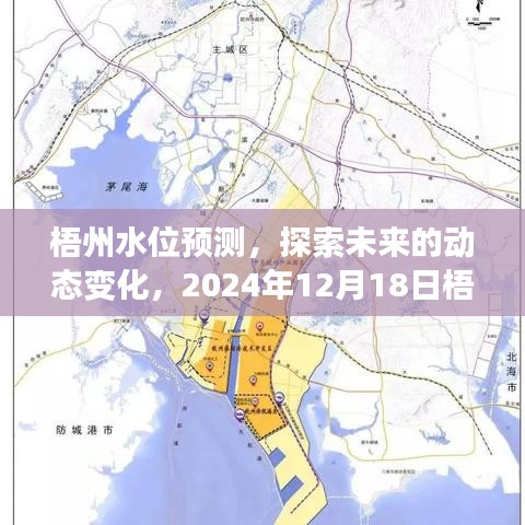梧州水位動態預測解析，未來趨勢與實時動態解析報告（2024年12月18日）
