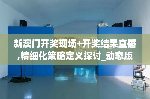 新澳門開獎現場+開獎結果直播,精細化策略定義探討_動態版1.446