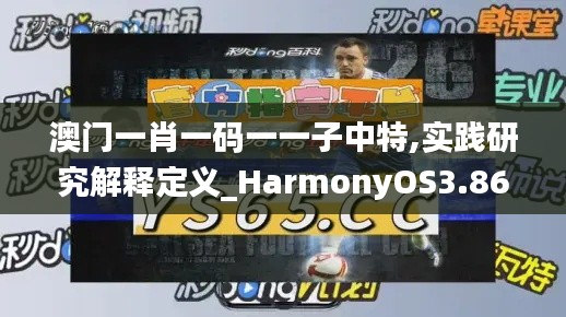 澳門一肖一碼一一子中特,實踐研究解釋定義_HarmonyOS3.868