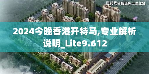 2024今晚香港開特馬,專業解析說明_Lite9.612
