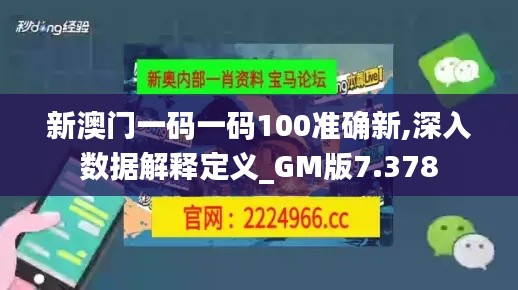 新澳門一碼一碼100準(zhǔn)確新,深入數(shù)據(jù)解釋定義_GM版7.378