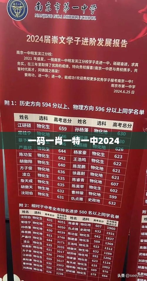 一碼一肖一特一中2024