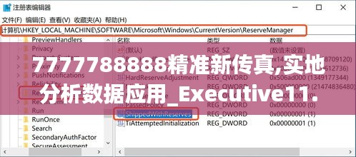 7777788888精準(zhǔn)新傳真,實(shí)地分析數(shù)據(jù)應(yīng)用_Executive11.614
