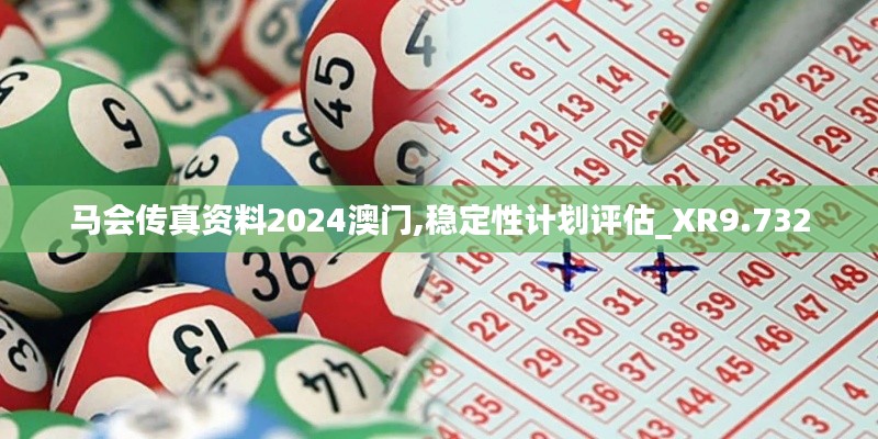 馬會傳真資料2024澳門,穩定性計劃評估_XR9.732