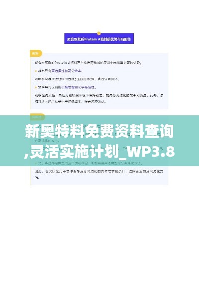 新奧特料免費資料查詢,靈活實施計劃_WP3.802
