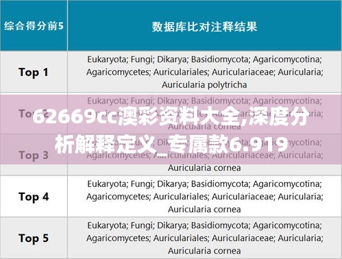 62669cc澳彩資料大全,深度分析解釋定義_專屬款6.919