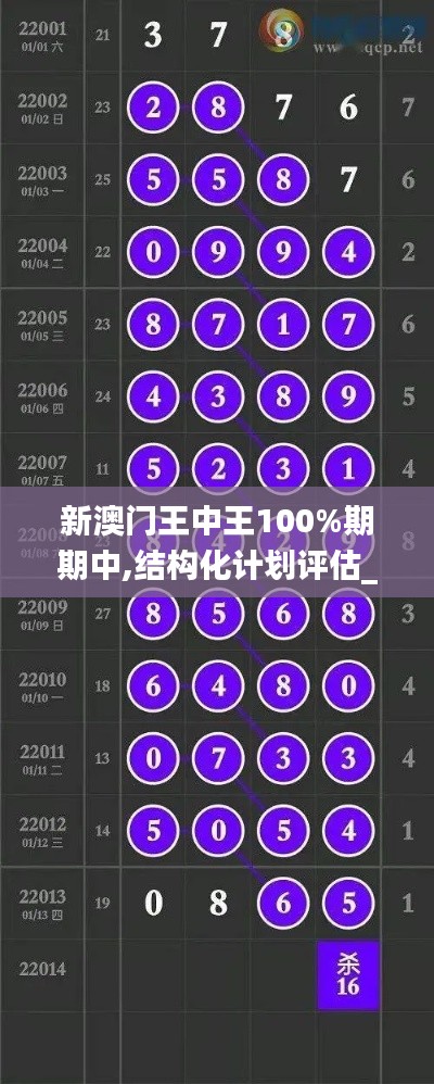 新澳門王中王100%期期中,結(jié)構(gòu)化計劃評估_KP8.319