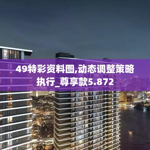 49特彩資料圖,動態調整策略執行_尊享款5.872