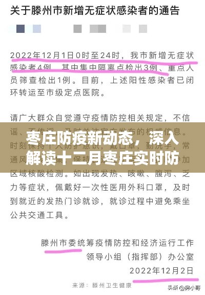 棗莊十二月防疫動(dòng)態(tài)解析，深入解讀最新防疫情況通報(bào)