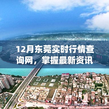 掌握最新資訊，洞悉市場趨勢，東莞實時行情查詢網發布最新資訊
