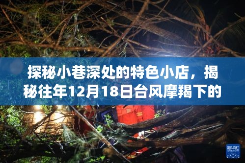 探秘小巷美食寶藏，臺風摩羯下的隱藏美食在往日重現