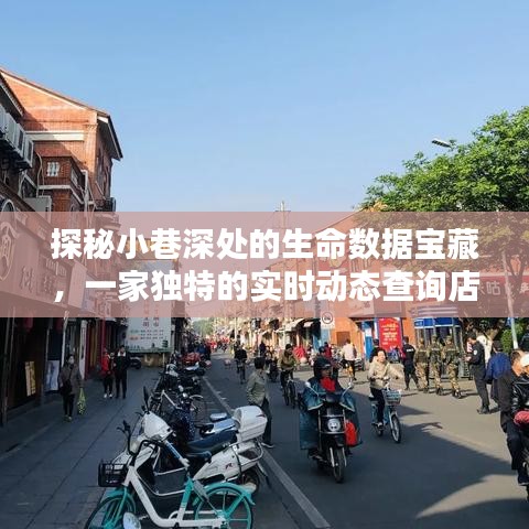 探秘小巷深處的數據寶藏，實時動態查詢店的獨特魅力
