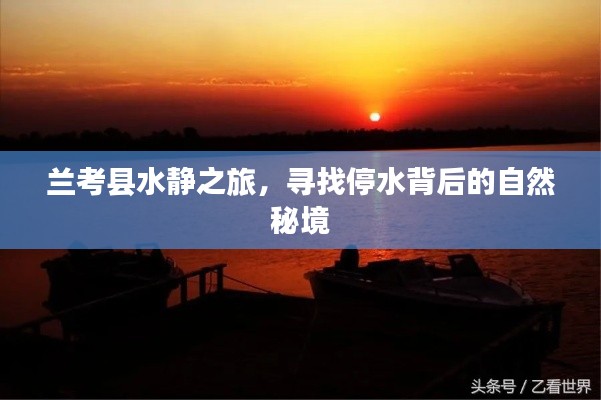 蘭考縣水靜之旅，探尋停水背后的神秘自然之旅