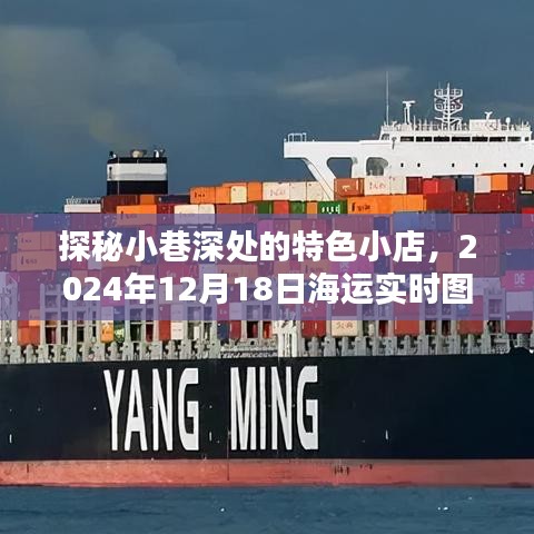 探秘小巷特色小店與海運(yùn)實(shí)時(shí)圖的驚喜奇遇，2024年12月18日紀(jì)實(shí)
