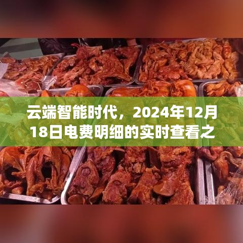 云端智能時代電費實時查看之旅，2024年12月18日明細揭秘