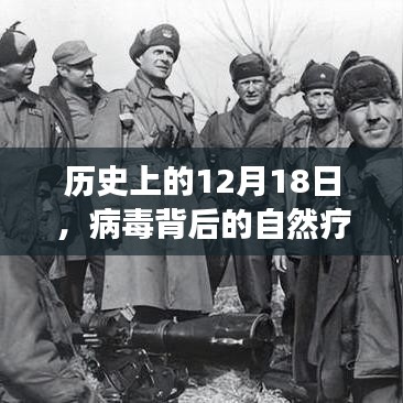 12月18日，自然療愈之旅與內心平靜的奇妙探險，探尋病毒背后的歷史記憶