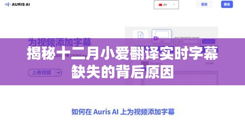 揭秘十二月小愛翻譯實時字幕缺失的背后真相