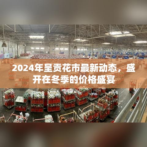 2024年呈貢花市冬季價格盛宴，最新動態與盛開盛景