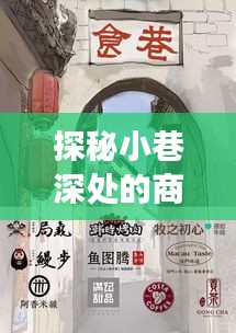 商州實時監(jiān)測系統(tǒng)操作探秘，小巷深處隱藏的美食寶藏之旅