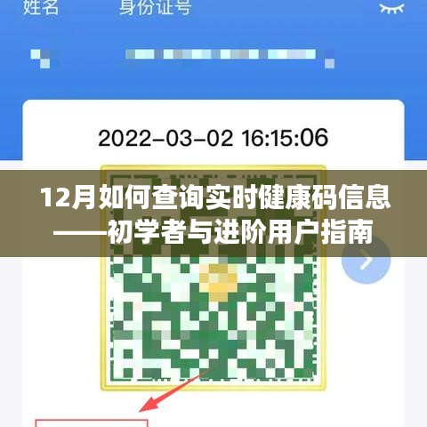 12月實時健康碼信息查詢指南，初學者與進階用戶步驟詳解