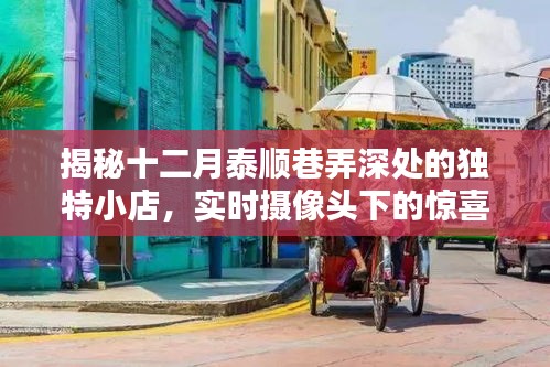 十二月泰順巷弄深處的驚喜小店，實時攝像頭下的獨特發現之旅