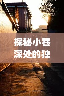 探秘小巷深處的獨特風(fēng)情，揭秘百度實時播放背后的故事——歷史上的十二月十八日