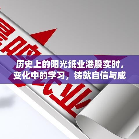 陽光紙業港股歷程，學習鑄就自信與成就之路