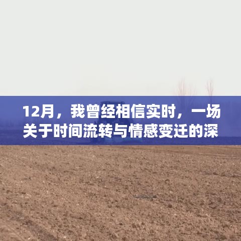 12月深刻體驗(yàn)，時(shí)間流轉(zhuǎn)與情感變遷的實(shí)時(shí)之旅