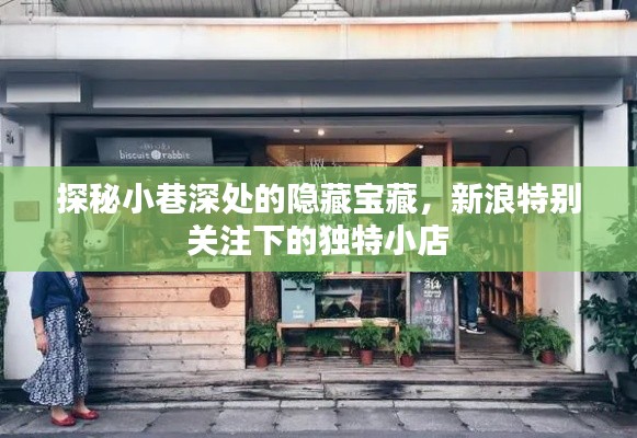 探秘小巷深處的隱藏寶藏，新浪關注下的獨特小店之旅