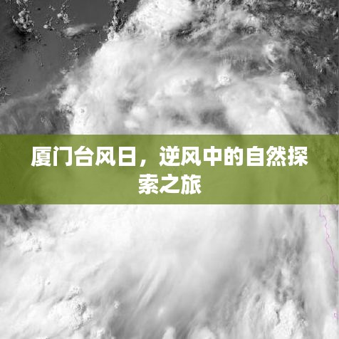 廈門臺風日，逆風中的自然探險之旅