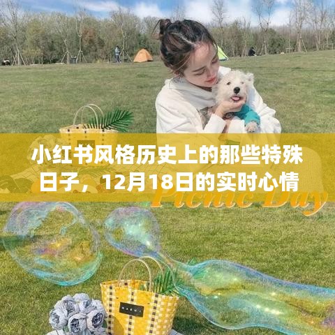 小紅書風格下的特殊日子，12月18日的實時心情記錄之旅