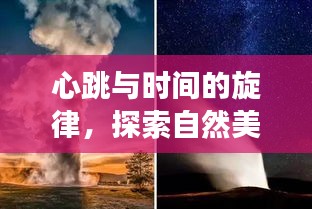 心跳與時間的旋律，自然美景探索之旅的密碼