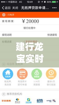 建行龍寶實(shí)時(shí)到賬詳解，關(guān)于特定日期到賬金額解析及案例分享