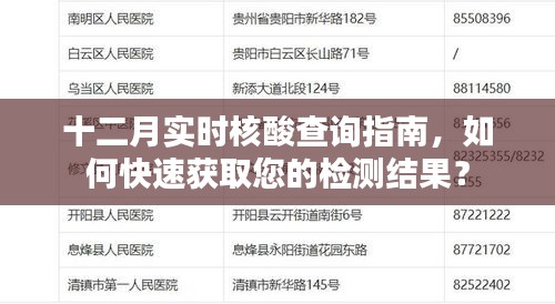 十二月核酸檢測(cè)指南，快速獲取檢測(cè)結(jié)果的方法