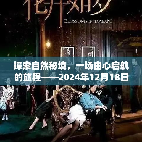 自然秘境探索，心靈之旅的實時曝光紀實之旅（2024年12月18日）