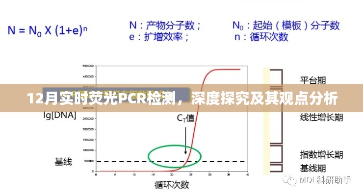 深度探究，實時熒光PCR檢測在十二月的進展與觀點分析
